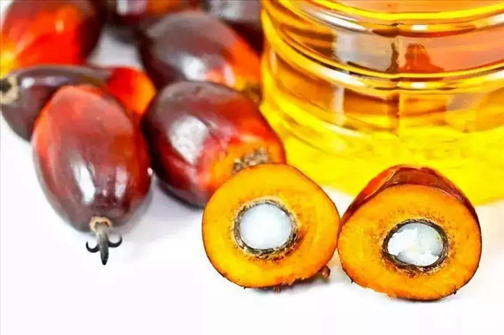 天津棕櫚油進口清關(guān)費用_食用棕櫚油報關(guān)關(guān)稅多少