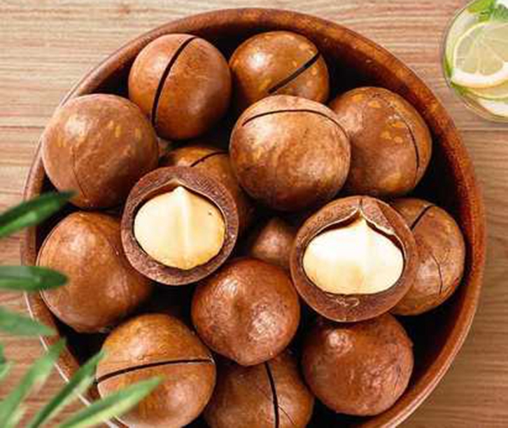 廣州進口泰國夏威夷果報關資料-19年堅果進口報關行