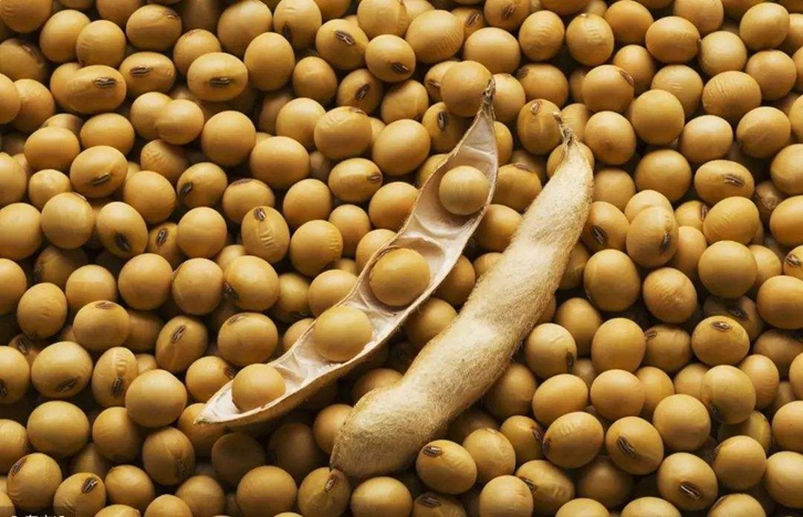 大豆進口報關報檢流程