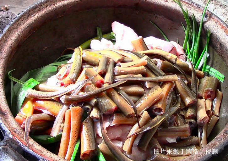 印尼進(jìn)口成都鱔魚報(bào)關(guān)流程