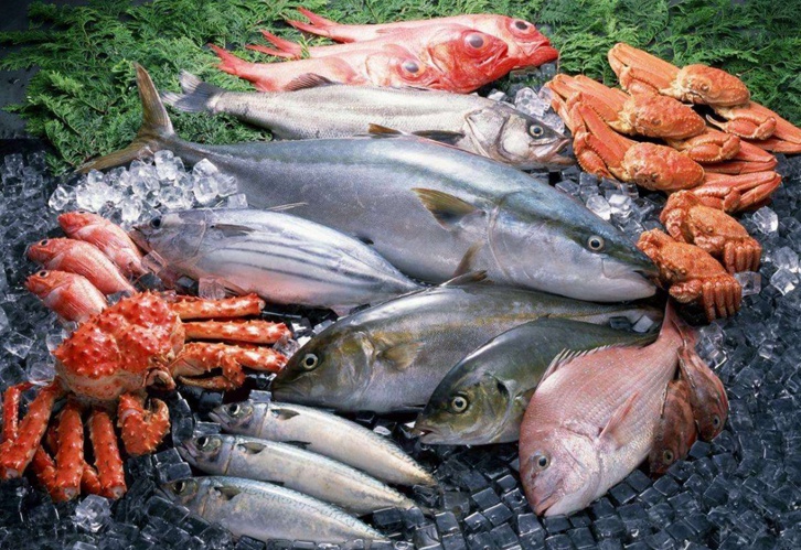 進口冷凍海鮮報關(guān)