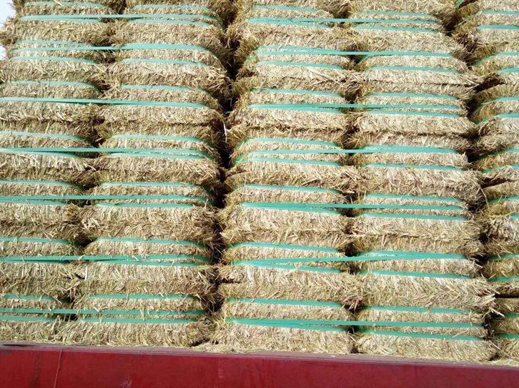 澳大利亞燕麥草進口報關(guān)資料