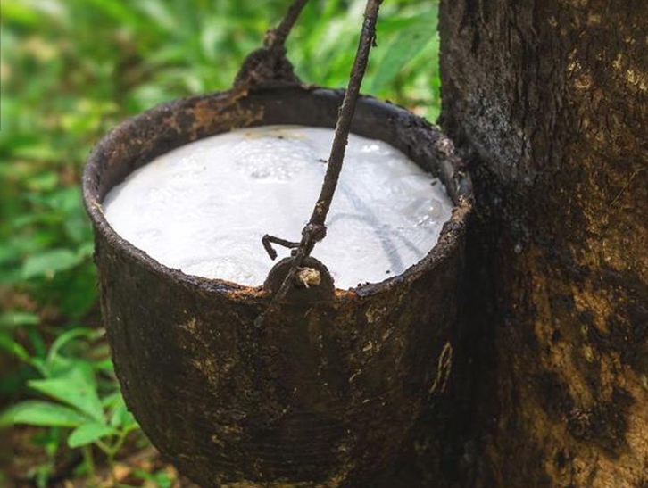 深圳橡膠進口報關流程