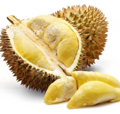 馬來西亞冷凍榴蓮進口報關(guān)資料_貓山王榴蓮關(guān)稅