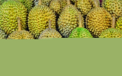 馬來(lái)西亞榴蓮進(jìn)口報(bào)關(guān)代理一站式服務(wù)公司-全國(guó)聯(lián)網(wǎng)為您服務(wù)