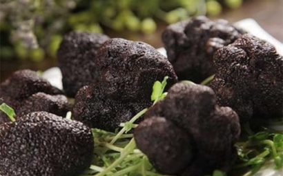 一般貿易進口松露清關代理的流程