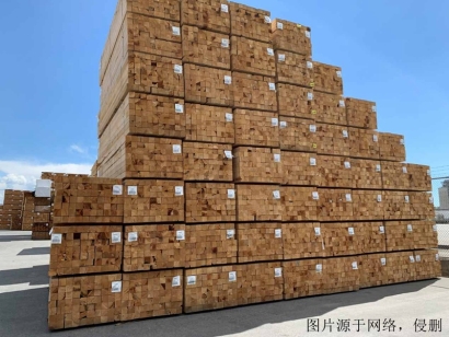 白俄羅斯進(jìn)口報(bào)關(guān)公司哪家好？白俄羅斯木材清關(guān)流程