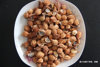 天津進(jìn)口印尼白豆蔻報(bào)關(guān)流程_藥材豆蔻進(jìn)口準(zhǔn)入要求