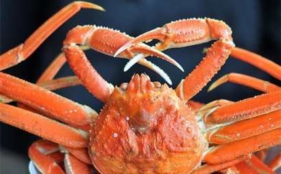 冷凍雪蟹進口報關(guān)代理公司如何成功報關(guān)冰凍雪蟹
