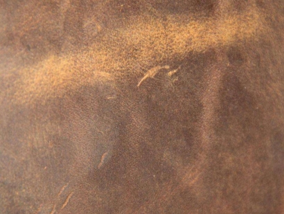 (非食用動(dòng)物產(chǎn)品)巴西馬屬動(dòng)物皮張進(jìn)口報(bào)關(guān)流程