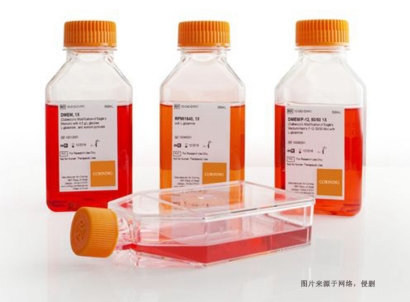 德國細(xì)胞培養(yǎng)試劑進(jìn)口報關(guān)資料_上海空運生物試劑