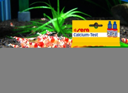 廣州黃埔進口荷蘭水質(zhì)測試劑清關(guān)流程化工品案例