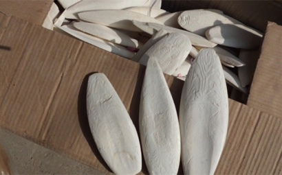 看這里!進(jìn)口墨魚骨報關(guān)之前需提前準(zhǔn)備的資料