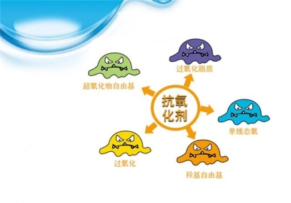 抗氧化劑進(jìn)口報(bào)關(guān)流程手續(xù)經(jīng)驗(yàn)豐富