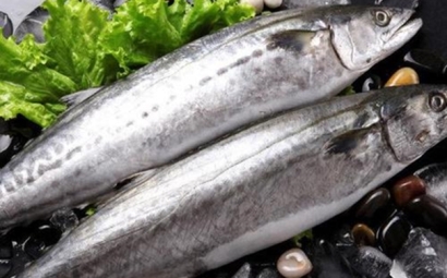 冷凍水產品進口報關如何辦理相關的資料