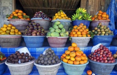 東南亞水果進(jìn)口報(bào)關(guān)代理是怎樣的呢？