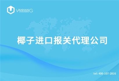 椰子進口報關代理公司