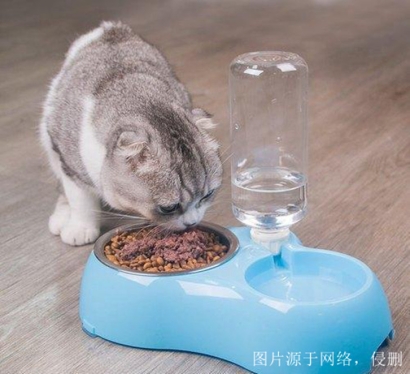 3分鐘看懂山東煙臺進口尼泊爾寵物用品報關資料