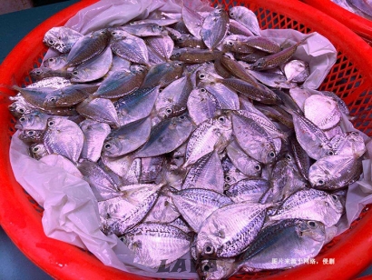 厄瓜多爾到佛山南海冷凍葉子魚進(jìn)口報(bào)關(guān)流程費(fèi)用