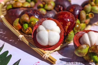 越南山竹進口清關(guān)資料_胡志明港海運水果到廣州費用