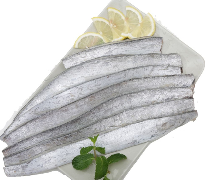 印度冷凍帶魚進(jìn)口報關(guān)資料 印度冷凍帶魚進(jìn)口報關(guān)資料