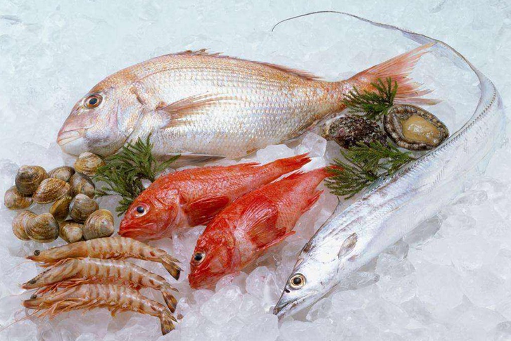 寧波進(jìn)口印尼鯛魚清關(guān)資料 寧波進(jìn)口印尼鯛魚清關(guān)資料