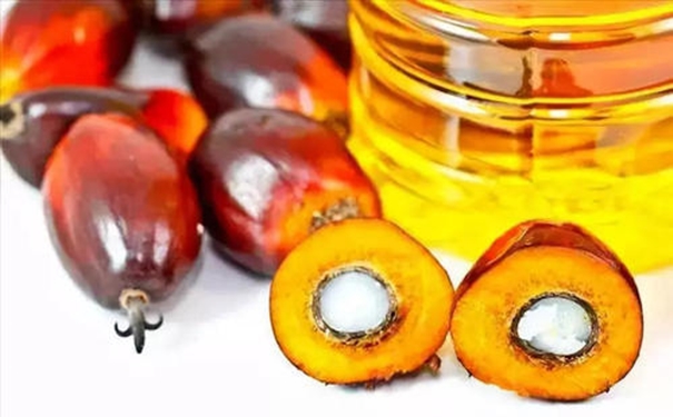 你要了解的進口棕櫚油清關的流程在這里 進口棕櫚油清關