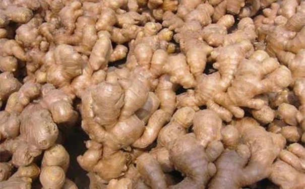 【生姜進口報關代理公司】告訴你生姜進口流程 生姜進口報關代理公司