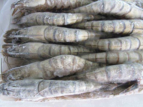 1577409209369731.jpg 海鮮進口報關代理公司