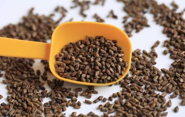 1631010244323005.jpg 印度決明子進(jìn)口清關(guān)