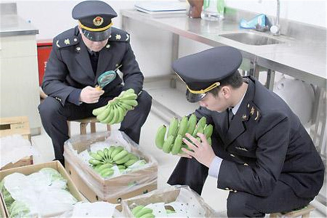 1587519869977581.jpg 越南香蕉進口報關(guān)